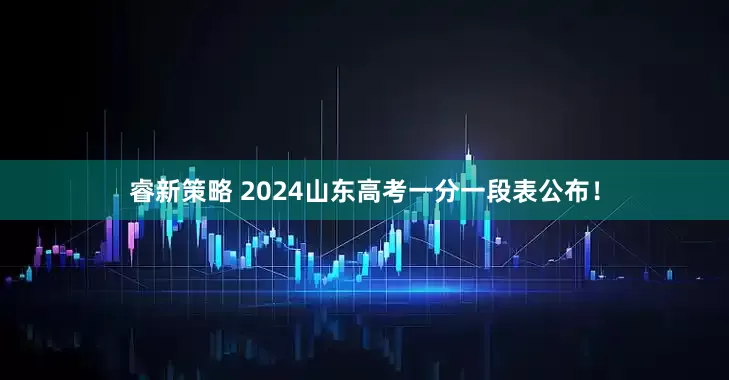 睿新策略 2024山东高考一分一段表公布！
