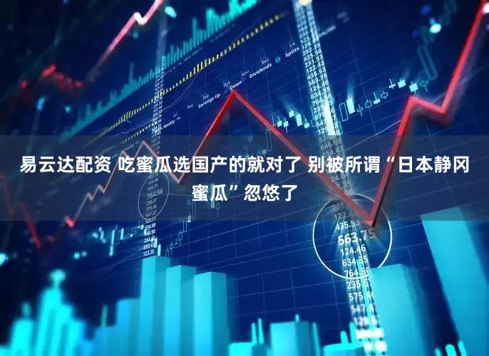 易云达配资 吃蜜瓜选国产的就对了 别被所谓“日本静冈蜜瓜”忽悠了