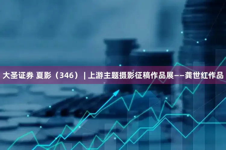 大圣证券 夏影（346） | 上游主题摄影征稿作品展——龚世红作品