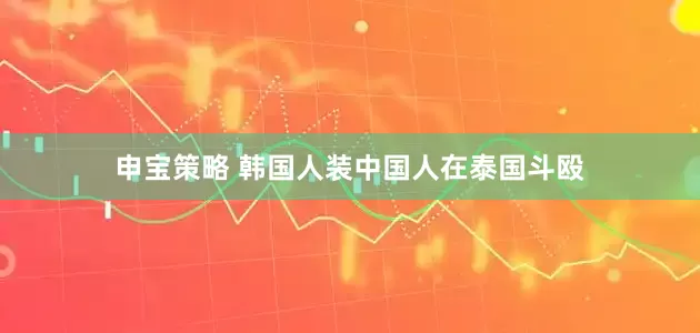 申宝策略 韩国人装中国人在泰国斗殴