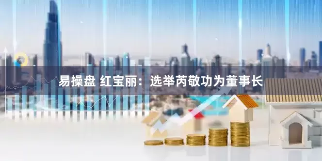 易操盘 红宝丽：选举芮敬功为董事长